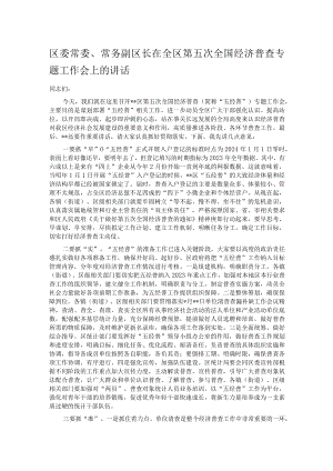 副区长在全区第五次全国经济普查专题工作会上的讲话.docx
