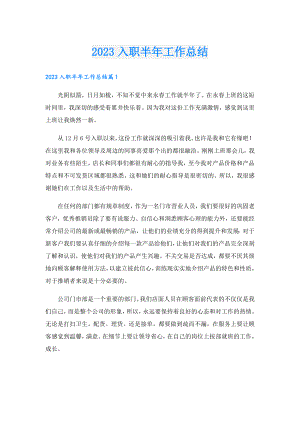 2023入职半年工作总结.doc