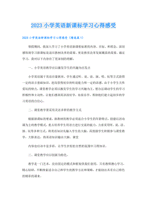 2023小学英语新课标学习心得感受.doc