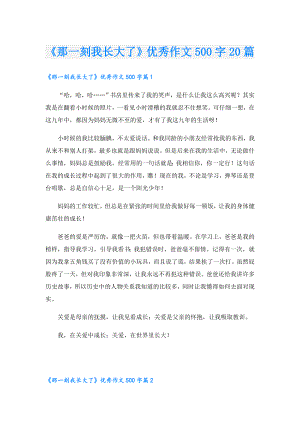 《那一刻我长大了》优秀作文500字20篇.doc