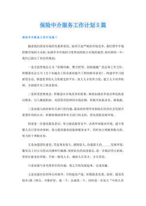 保险中介服务工作计划5篇.doc
