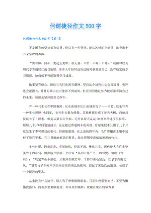 何谓捷径作文500字.doc