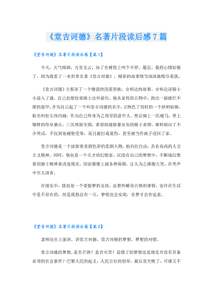 《堂吉诃德》名著片段读后感7篇.doc