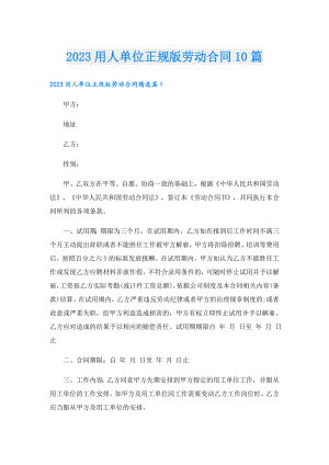 2023用人单位正规版劳动合同10篇.doc