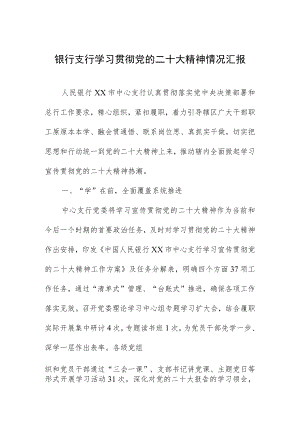银行支行学习贯彻党的二十大精神情况汇报.docx