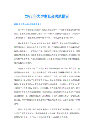 2023年大学生社会实践报告.doc