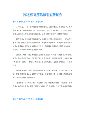 2023师德师风培训心得体会.doc