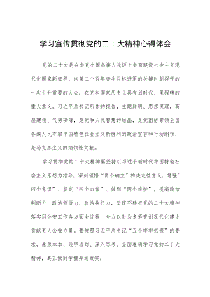 公安派出所深入开展学习贯彻党的二十大精神专题培训心得体会十篇 - 副本.docx