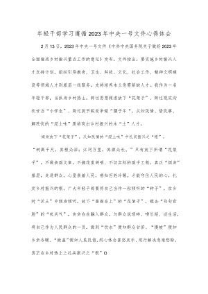 年轻干部学习遵循2023年中央一号文件心得体会.docx