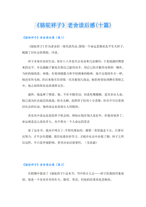 《骆驼祥子》老舍读后感(十篇).doc