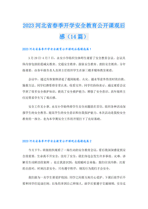 2023河北省季开学安全教育公开课观后感（14篇）.doc