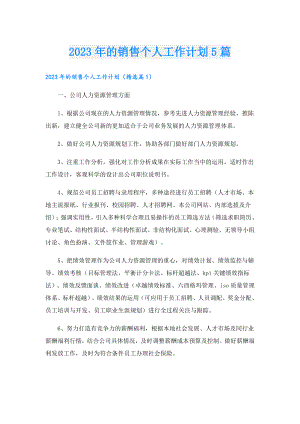 2023年的销售个人工作计划5篇.doc