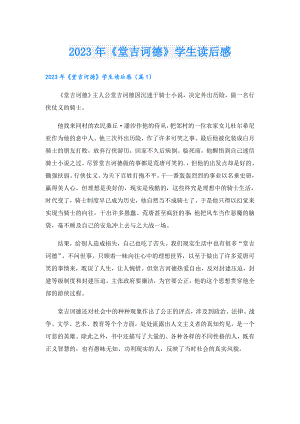 2023年《堂吉诃德》学生读后感.doc