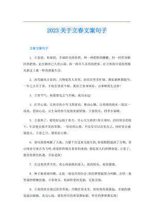 2023关于立文案句子.doc