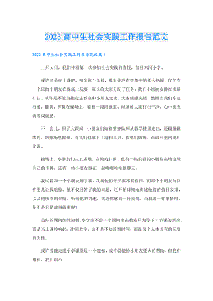 2023高中生社会实践工作报告范文.doc