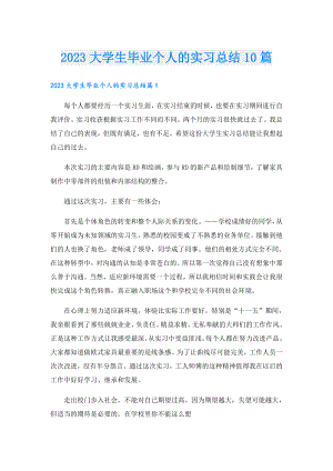2023大学生毕业个人的实习总结10篇.doc