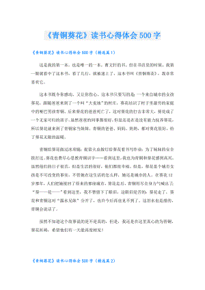 《青铜葵花》读书心得体会500字.doc