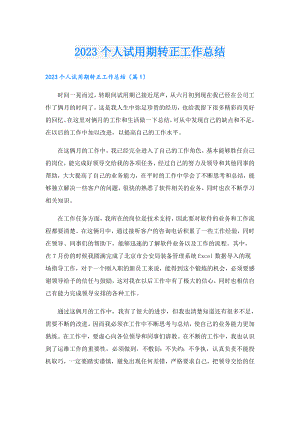 2023个人试用期转正工作总结.doc