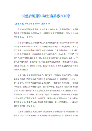 《堂吉诃德》学生读后感800字.doc