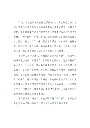 2022年度组织生活会开展学习心得体会3篇.docx