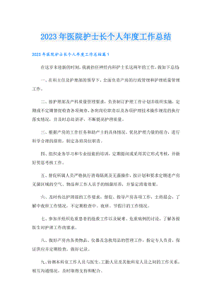 2023年医院护士长个人工作总结.doc