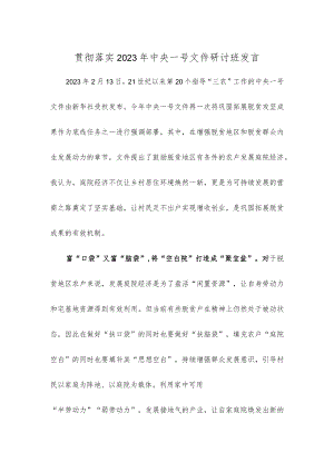 贯彻落实2023年中央一号文件研讨班发言.docx
