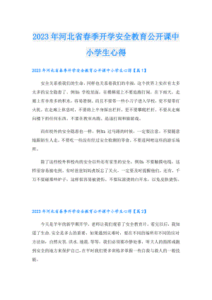 2023年河北省季开学安全教育公开课中小学生心得.doc