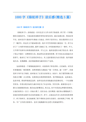 1000字《骆驼祥子》读后感(精选5篇).doc