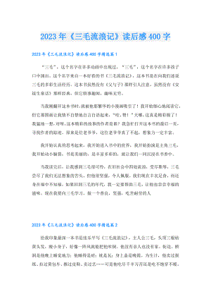 2023年《三毛流浪记》读后感400字.doc