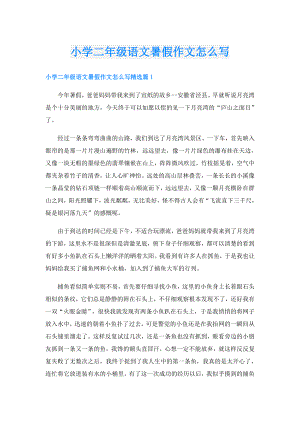 小学二年级语文暑假作文怎么写.doc