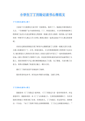 小学生丁丁历险记读书心得范文.doc