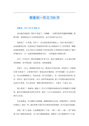 想象初一作文700字.doc