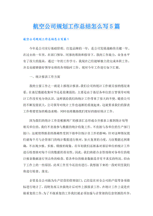 航空公司规划工作总结怎么写5篇.doc