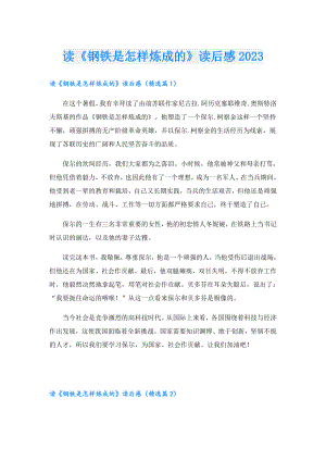读《钢铁是怎样炼成的》读后感2023.doc