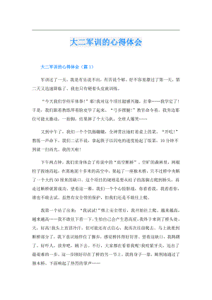 大二军训的心得体会.doc