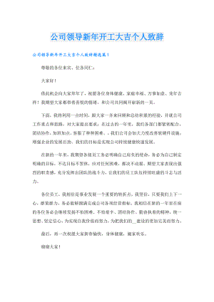 公司领导新年开工大吉个人致辞.doc