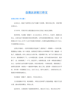 自我认识初三作文.doc