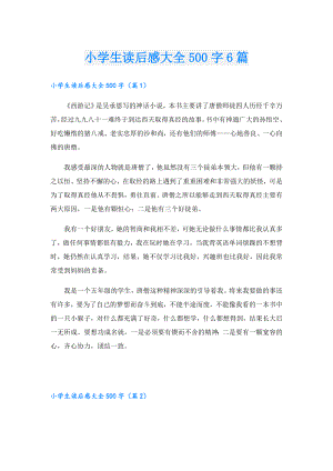 小学生读后感大全500字6篇.doc