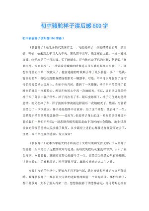 初中骆驼祥子读后感500字.doc