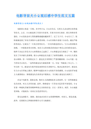 电影导盲犬小Q观后感中学生范文五篇.doc
