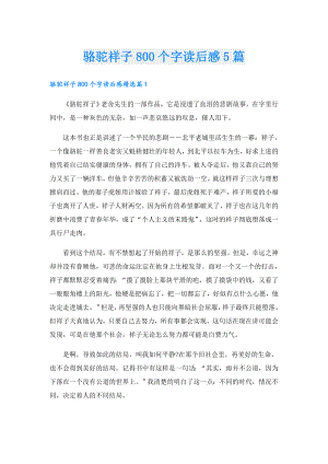 骆驼祥子800个字读后感5篇.doc