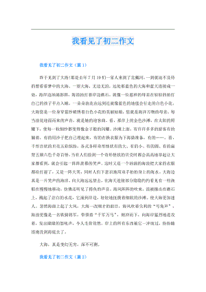 我看见了初二作文.doc