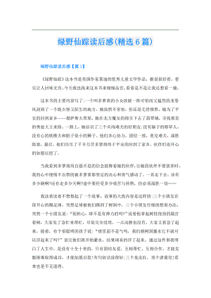 绿野仙踪读后感(精选6篇).doc