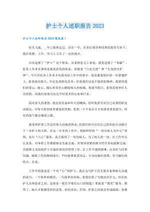 护士个人述职报告2023.doc