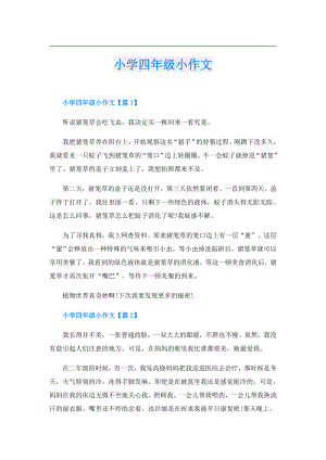 小学四年级小作文.doc