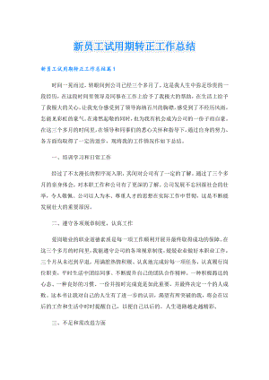 新员工试用期转正工作总结.doc