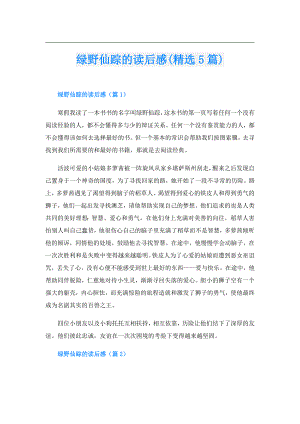 绿野仙踪的读后感(精选5篇).doc