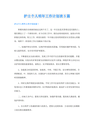 护士个人明年工作计划表5篇.doc