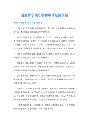 骆驼祥子800字初中读后感5篇.doc