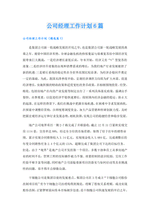 公司经理工作计划6篇.doc